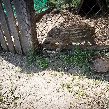 Ostoja Stary Dzierzgon