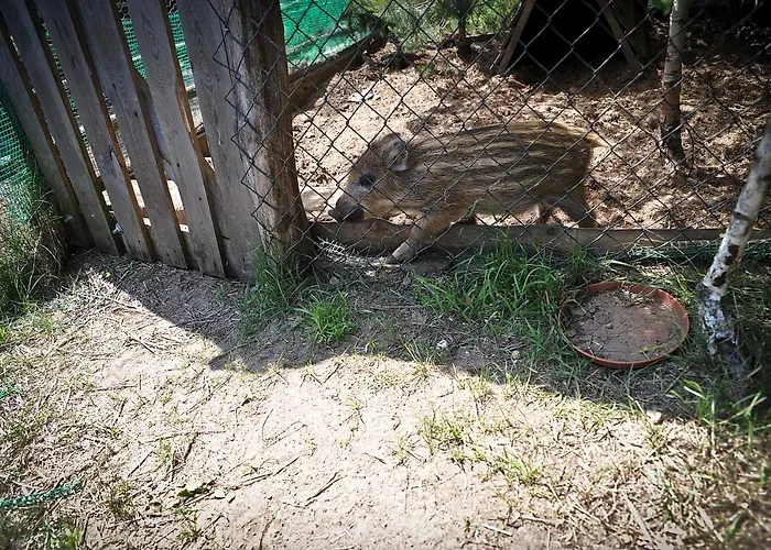 Ostoja Stary Dzierzgon